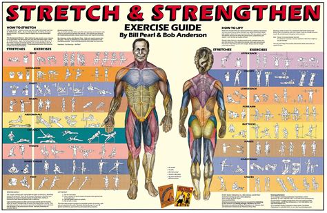 Enchanted muscles magically enhanced physical strength
